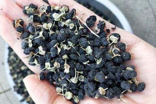 Cinese d'imballaggio Herb Drink Pure Dry Black Goji Berry Tea dell'OEM